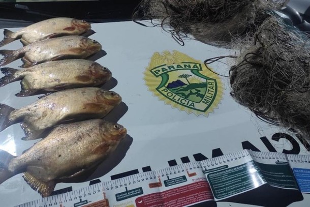 Duas pessoas são presas em flagrante por transporte ilegal de pesca em Cruzeiro do Oeste