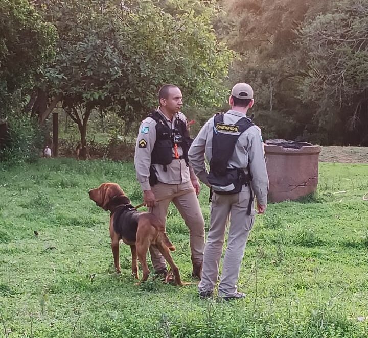 Bombeiros utilizam drones e cães farejadores na busca por idoso em Icaraíma