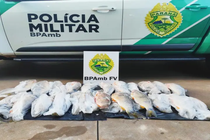 Polícia Ambiental prende pescador e apreende peixes durante cumprimento de mandado em Icaraíma