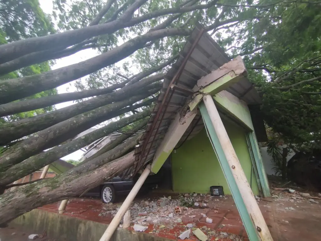 Árvore cai em cima de residência no bairro São Cristóvão e danifica telhado e veículo