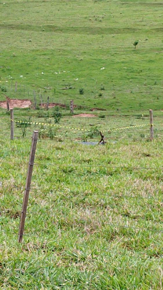 Adolescente de 15 anos morre enforcado com uma corda, após ser arrastado por um cavalo em uma propriedade rural de Altônia