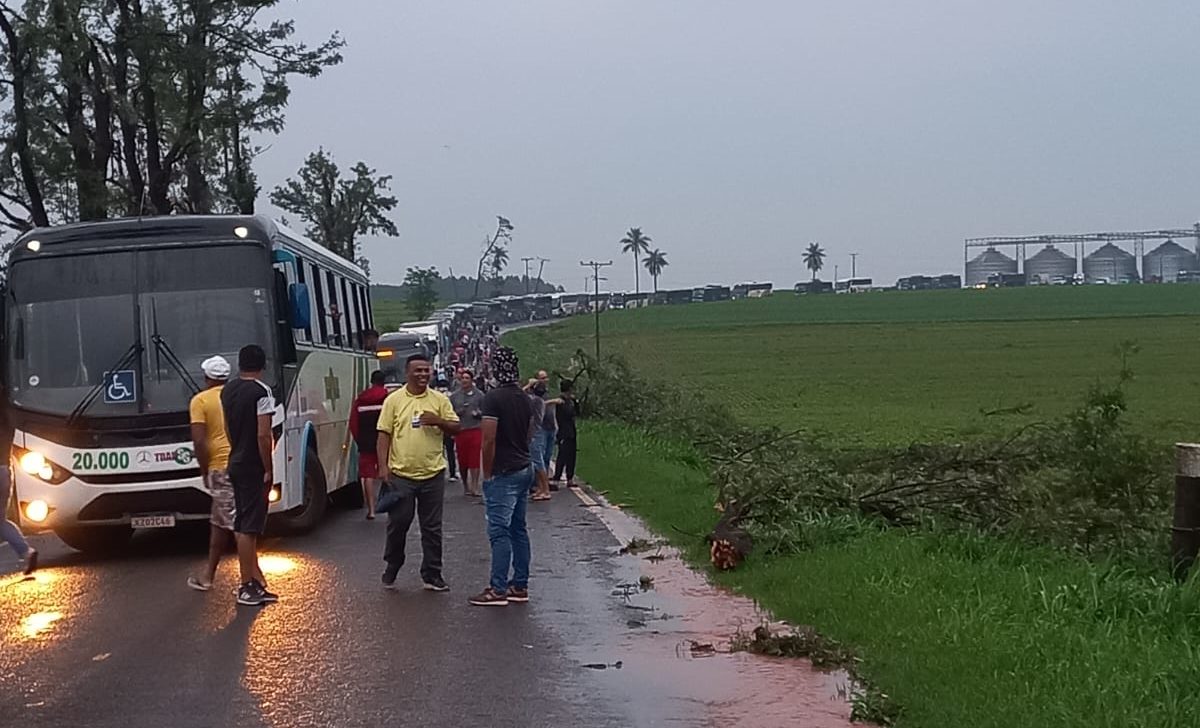 Temporal destelha casas, derruba árvores e interdita rodovia entre Francisco Alves e Palotina