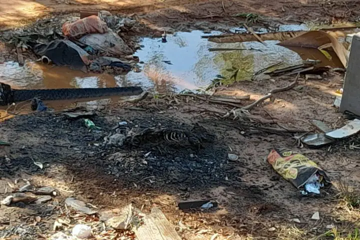 Cachorra com as patas amarradas é queimada viva no Parque Industrial