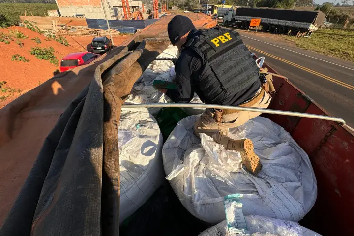 PRF apreende 1,5 tonelada de maconha em meio a carga de farinha de penas em Alto Paraíso