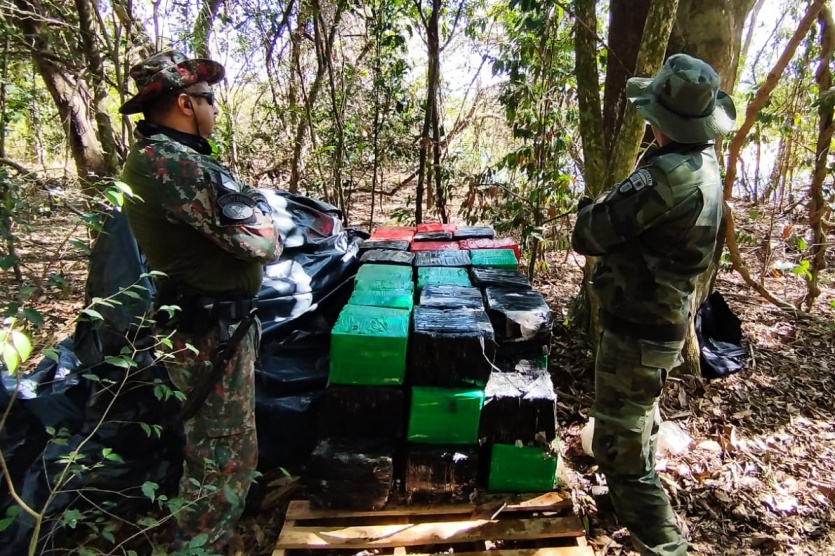 Polícia Ambiental localiza 933,85 quilos de maconha em ilha no Porto Camargo