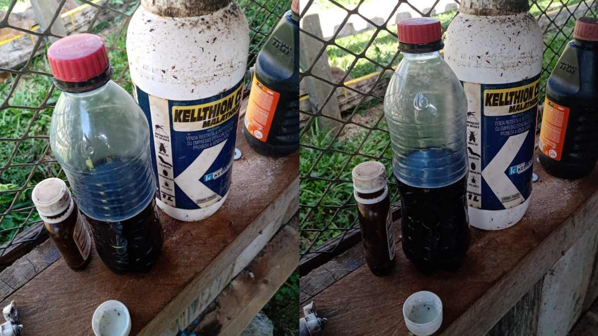 Irmãos morrem após confundir veneno com suco de uva no Paraná Irmãos morrem após confundir veneno com suco de uva no Paraná
