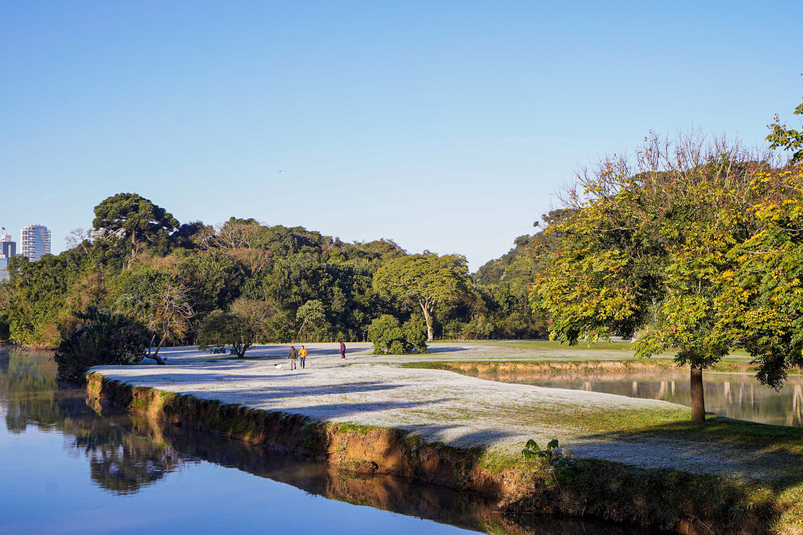 Com -7,8°C, quarta-feira teve menor temperatura do ano no Paraná e geada na Capital