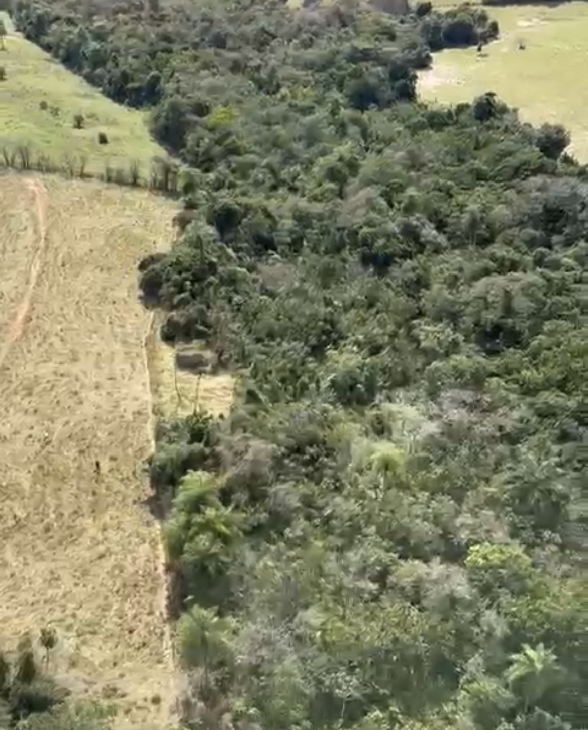 Buscas por desaparecidos em Icaraíma, se estende à zona rural de Ivaté e Douradina
