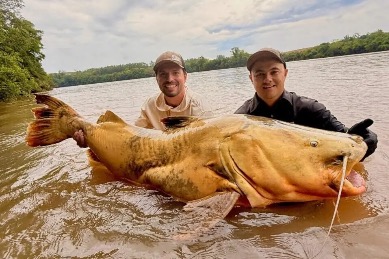 Peixe capturado no Rio Ivaí pode ser o maior já pescado em água doce no país